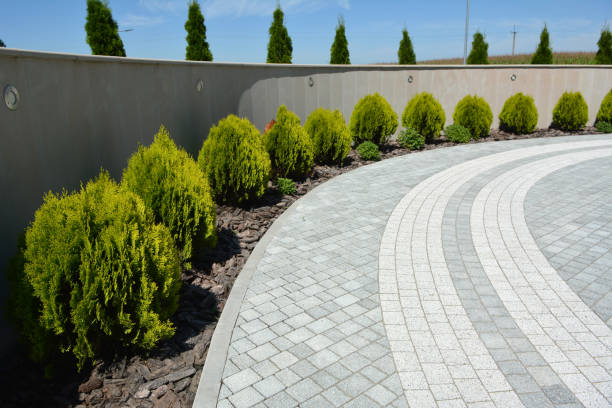 Best Concrete Paver Driveway  in Santa Clara, NM